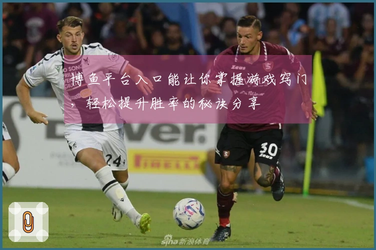 博鱼平台入口能让你掌握游戏窍门，轻松提升胜率的秘诀分享