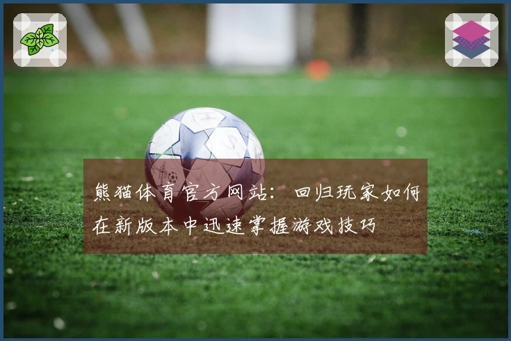 熊猫体育官方网站：回归玩家如何在新版本中迅速掌握游戏技巧
