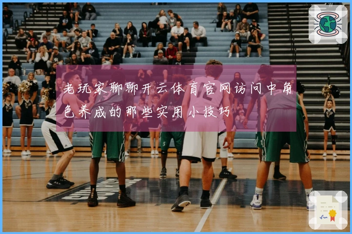 老玩家聊聊开云体育官网访问中角色养成的那些实用小技巧