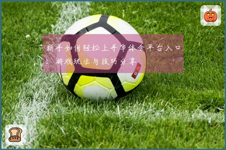 新手如何轻松上手华体会平台入口：游戏玩法与技巧分享